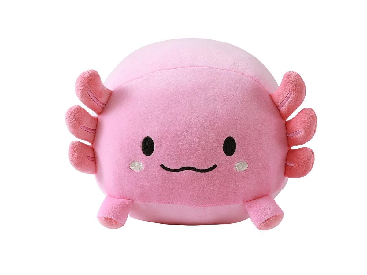 Coussin Axolutely medium 