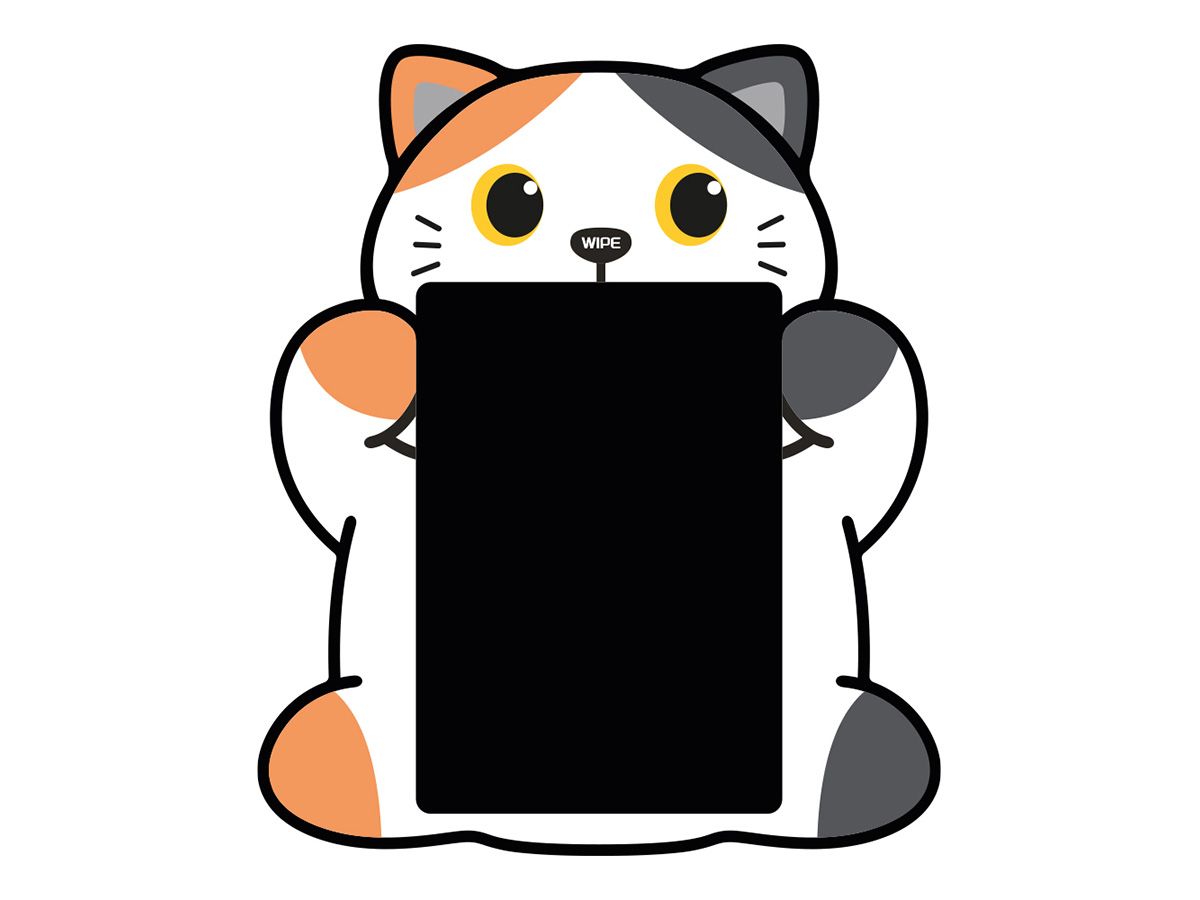 Tableau magique Chat blanc & orange