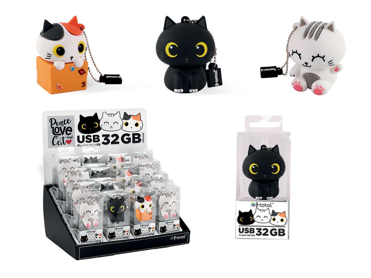 USB Flash Drive 32 GB Chats 
