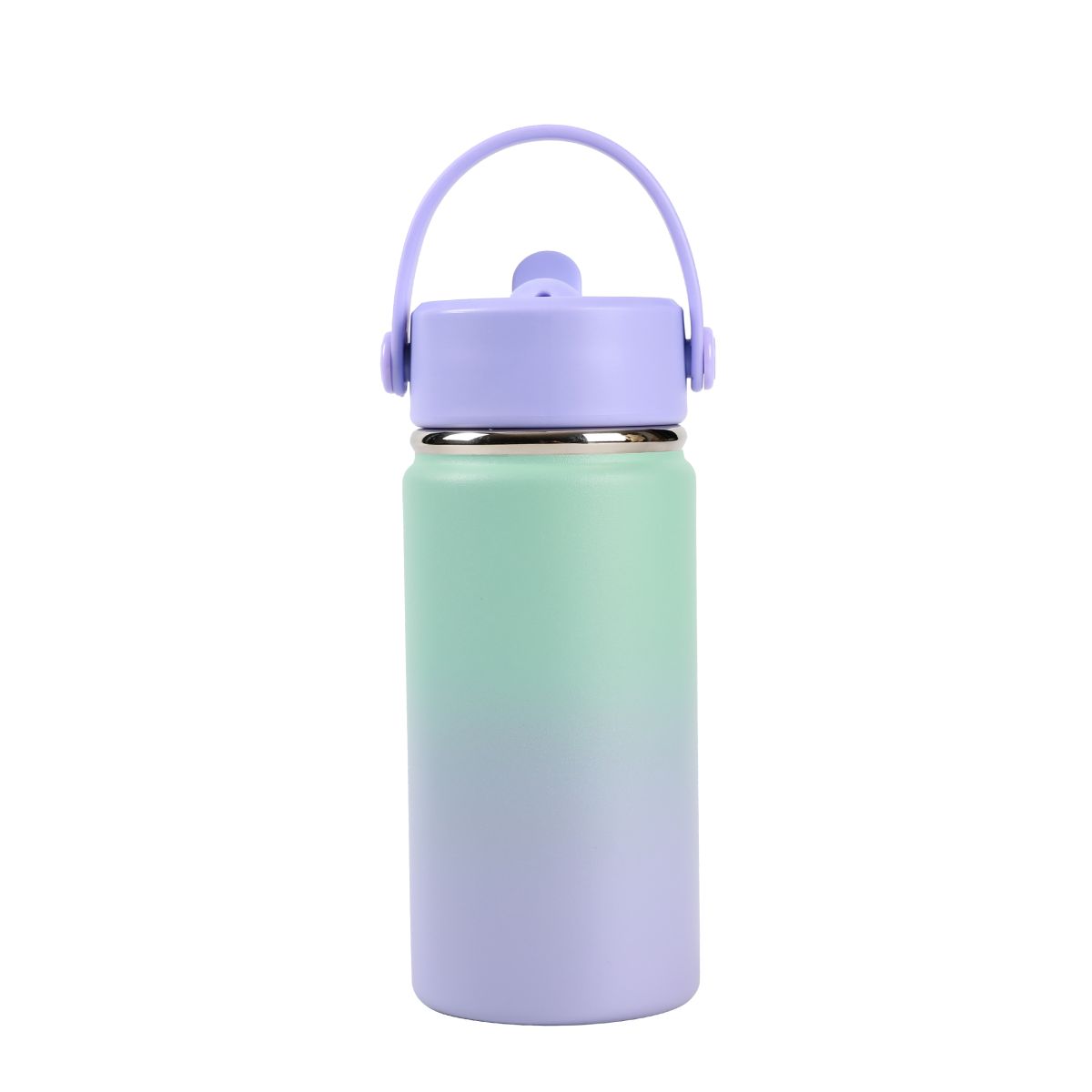 Bottle 400ml Green Purple