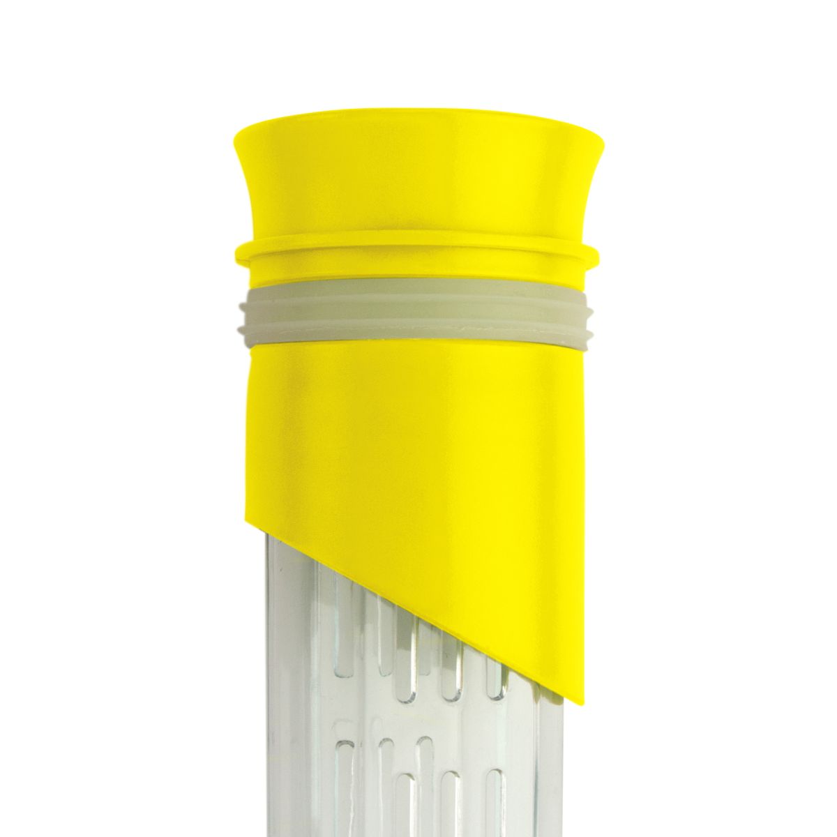 Froot infusing Bottle Ananas