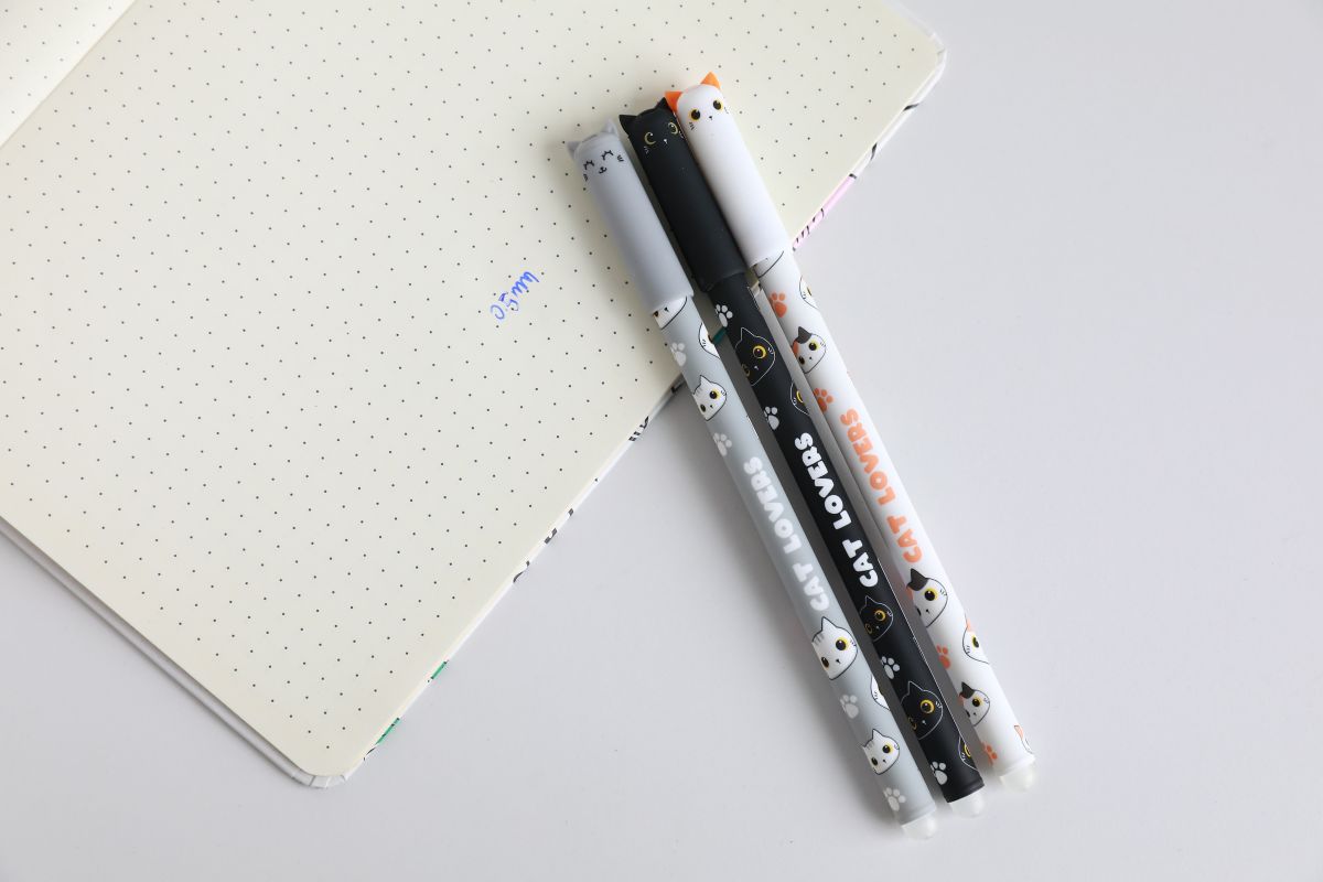 Stylos effaçables Slim Chats 
