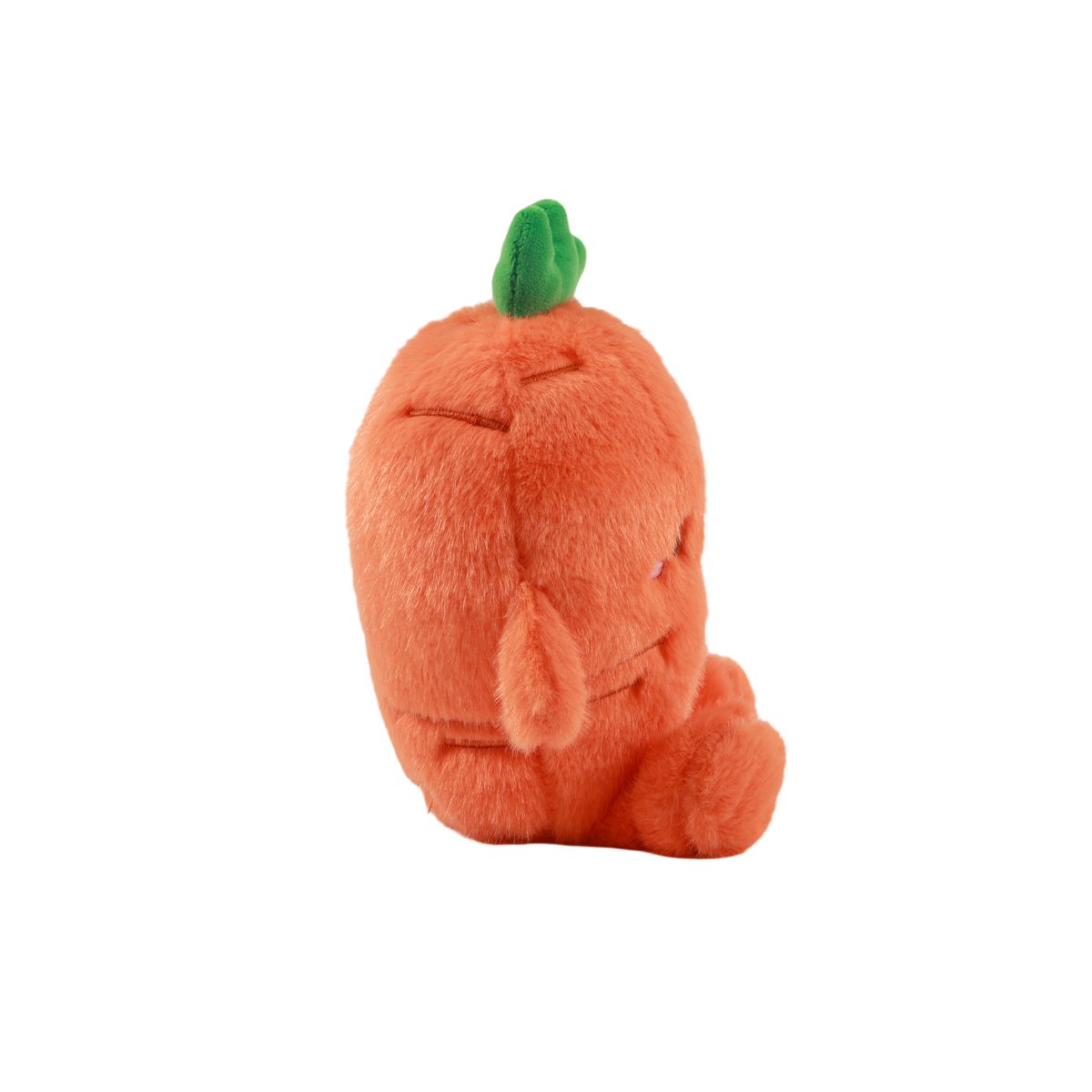 Coussin petit Fresh Market Carrie la carotte