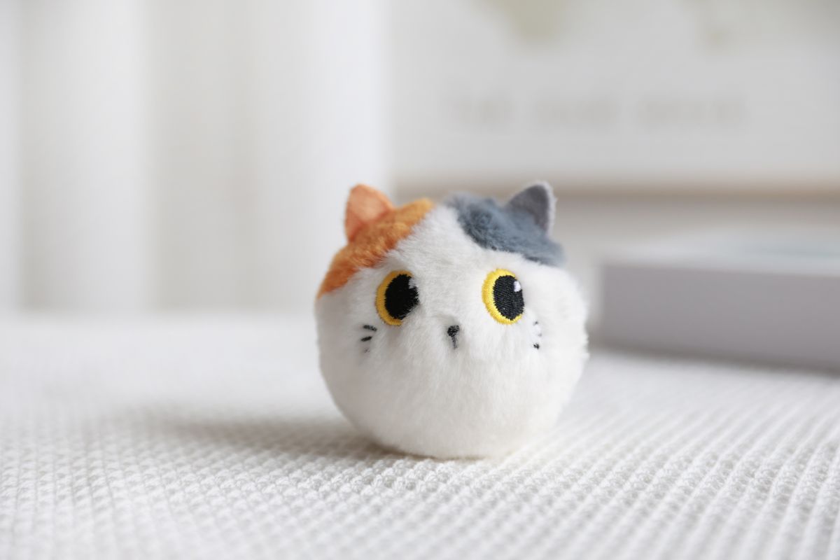 Bouncy Ball Chat Blanc & Orange