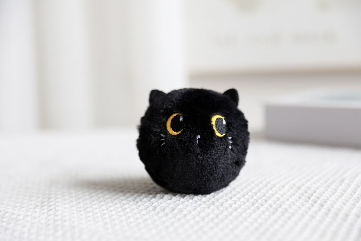 Bouncy Ball Chat Chat noir