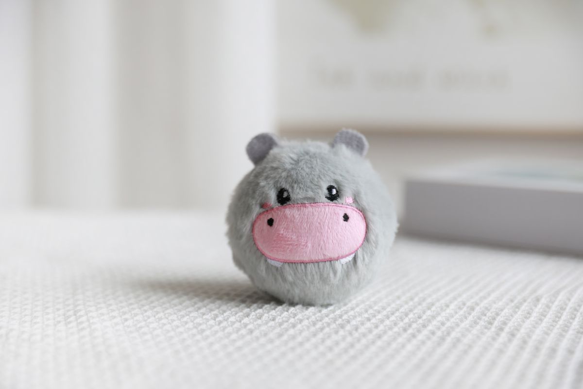 Bouncy Ball Hippo 
