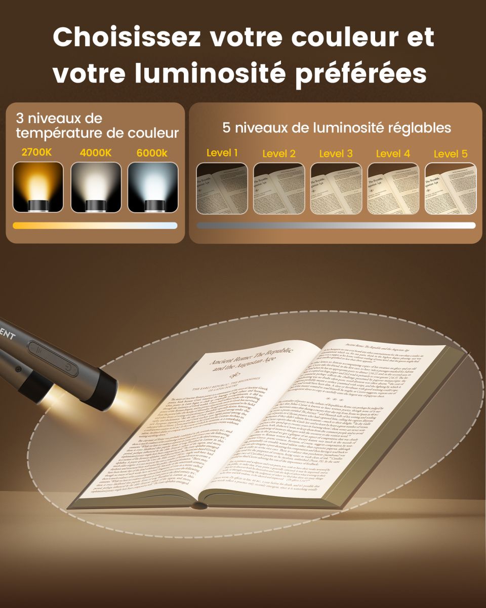 Lampe de lecture de cou Ergonomic Gris
