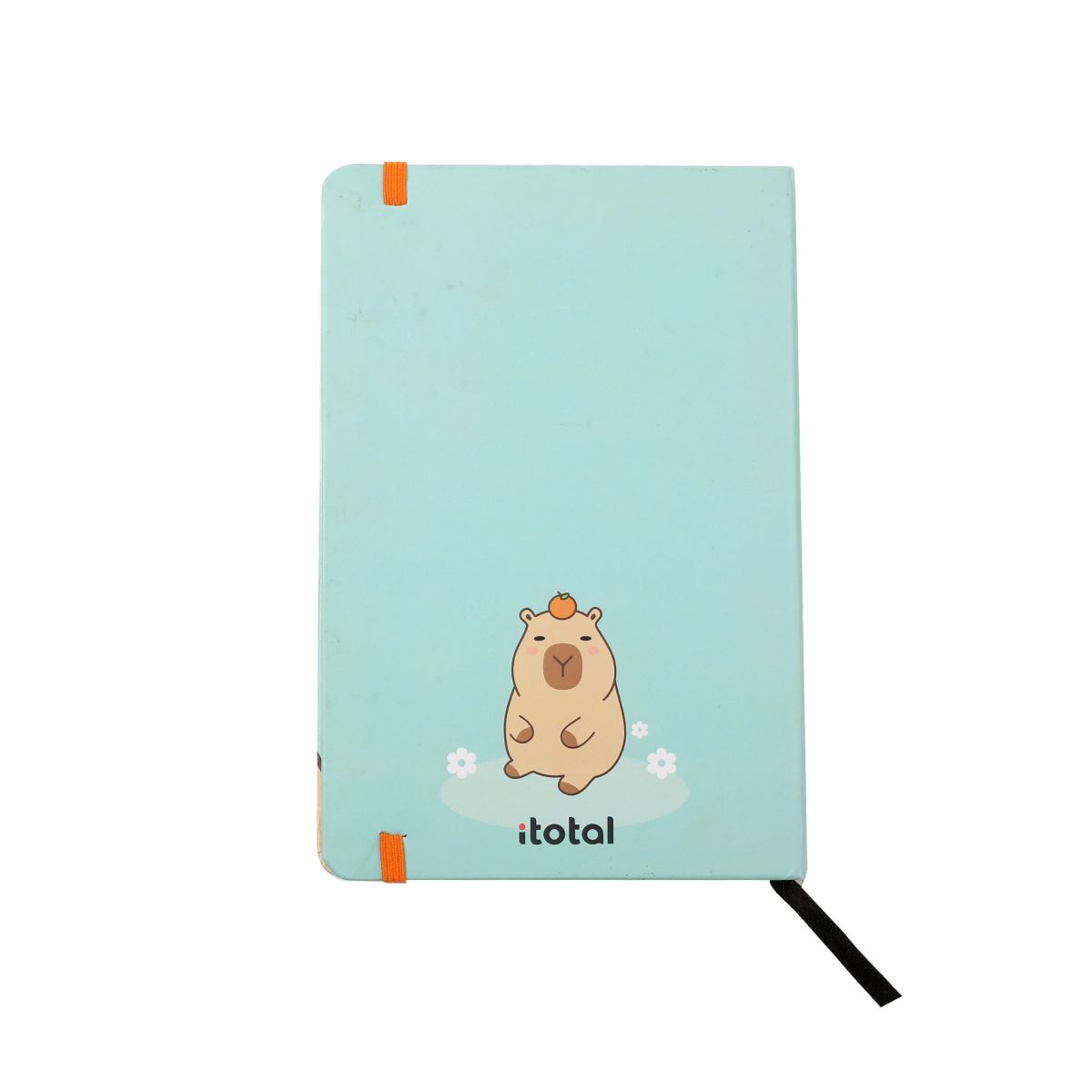Cahier A5 Capybara 