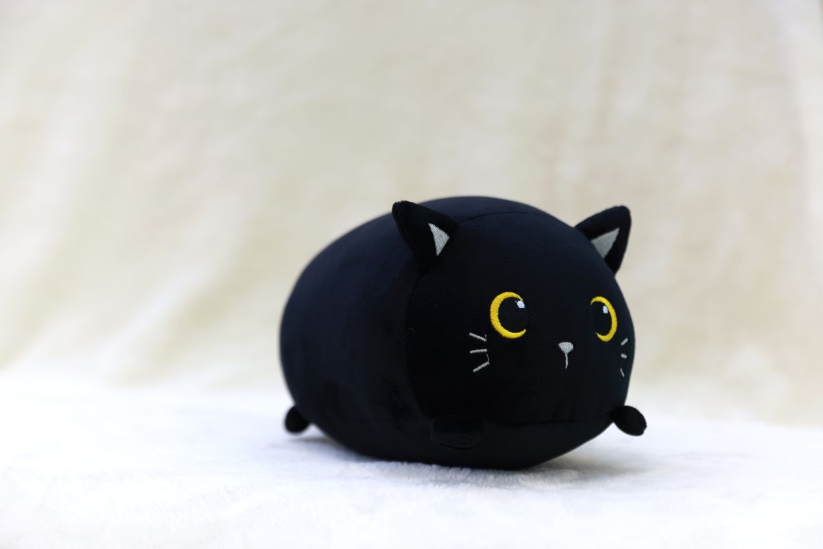 Coussin Chat Noir Petit