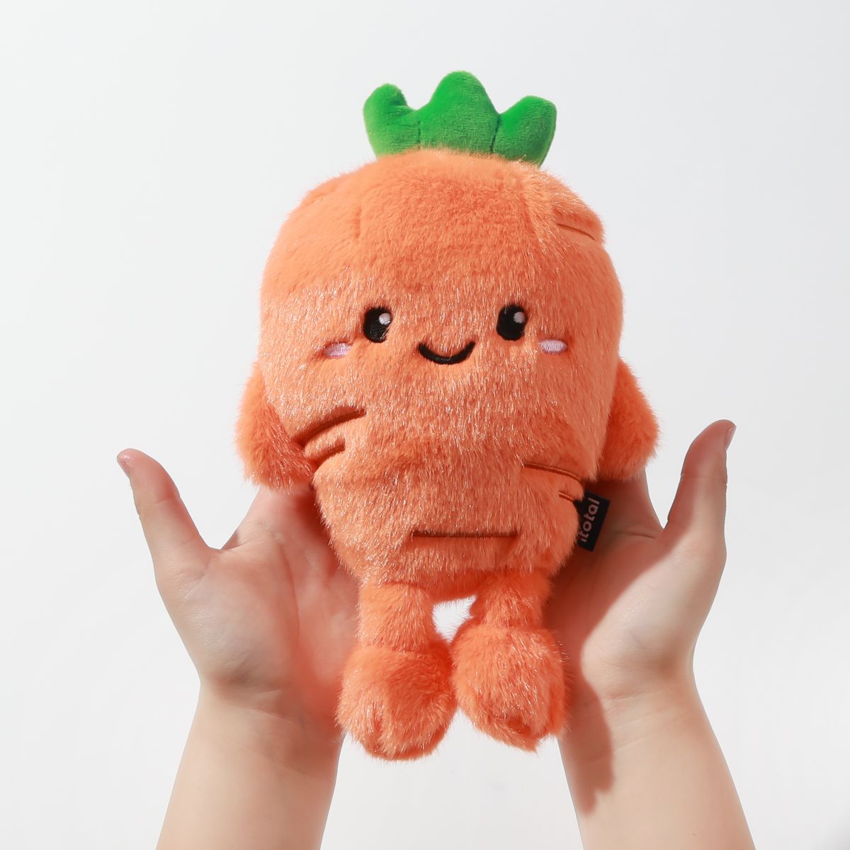 Coussin petit Fresh Market Carrie la carotte