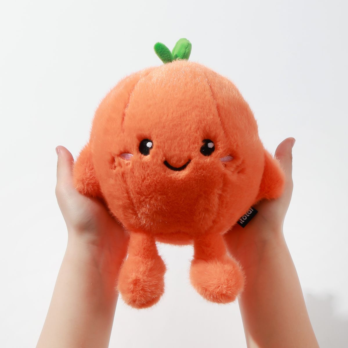 Coussin petit Fresh Market Olly l'orange