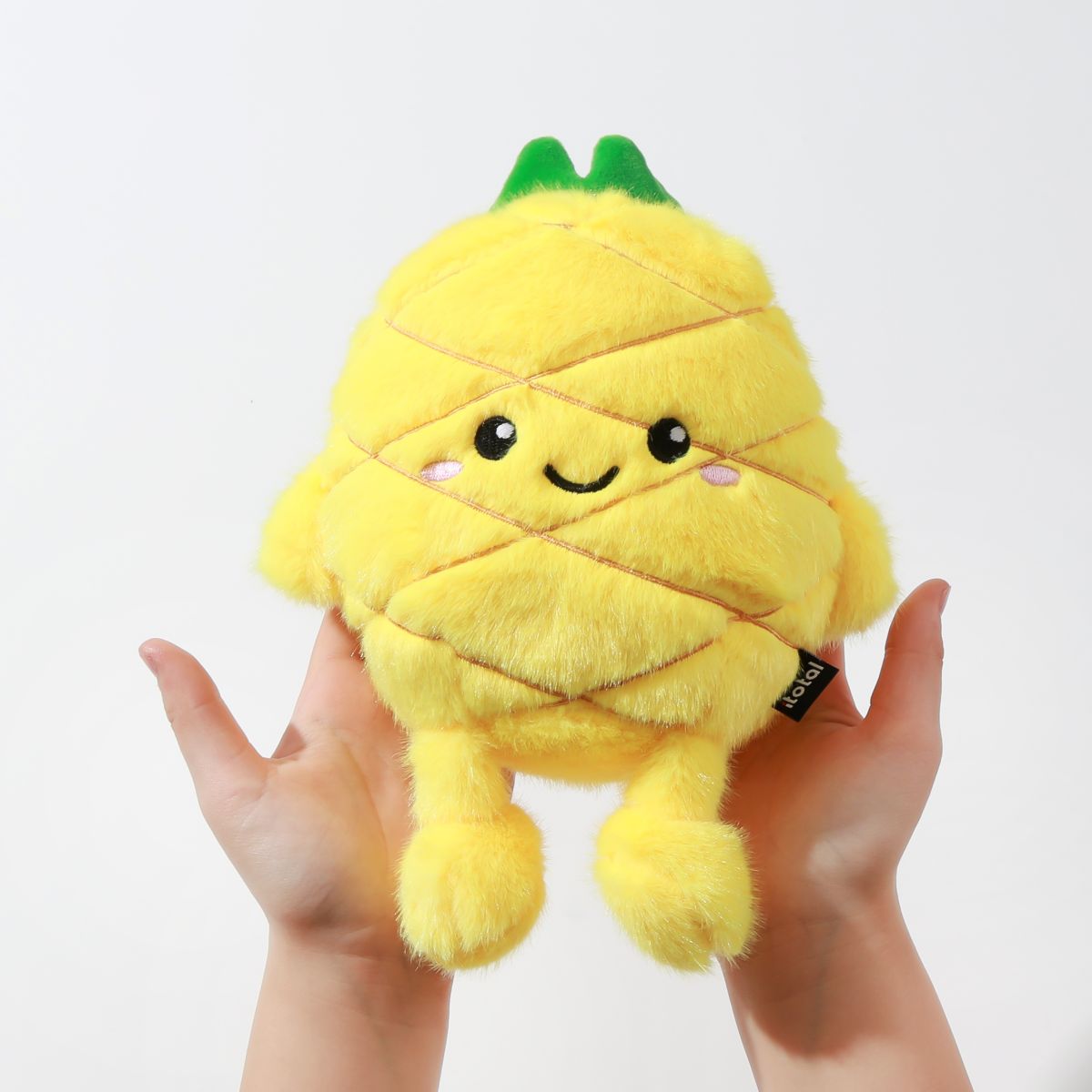 Coussin petit Fresh Market Poppy l'ananas