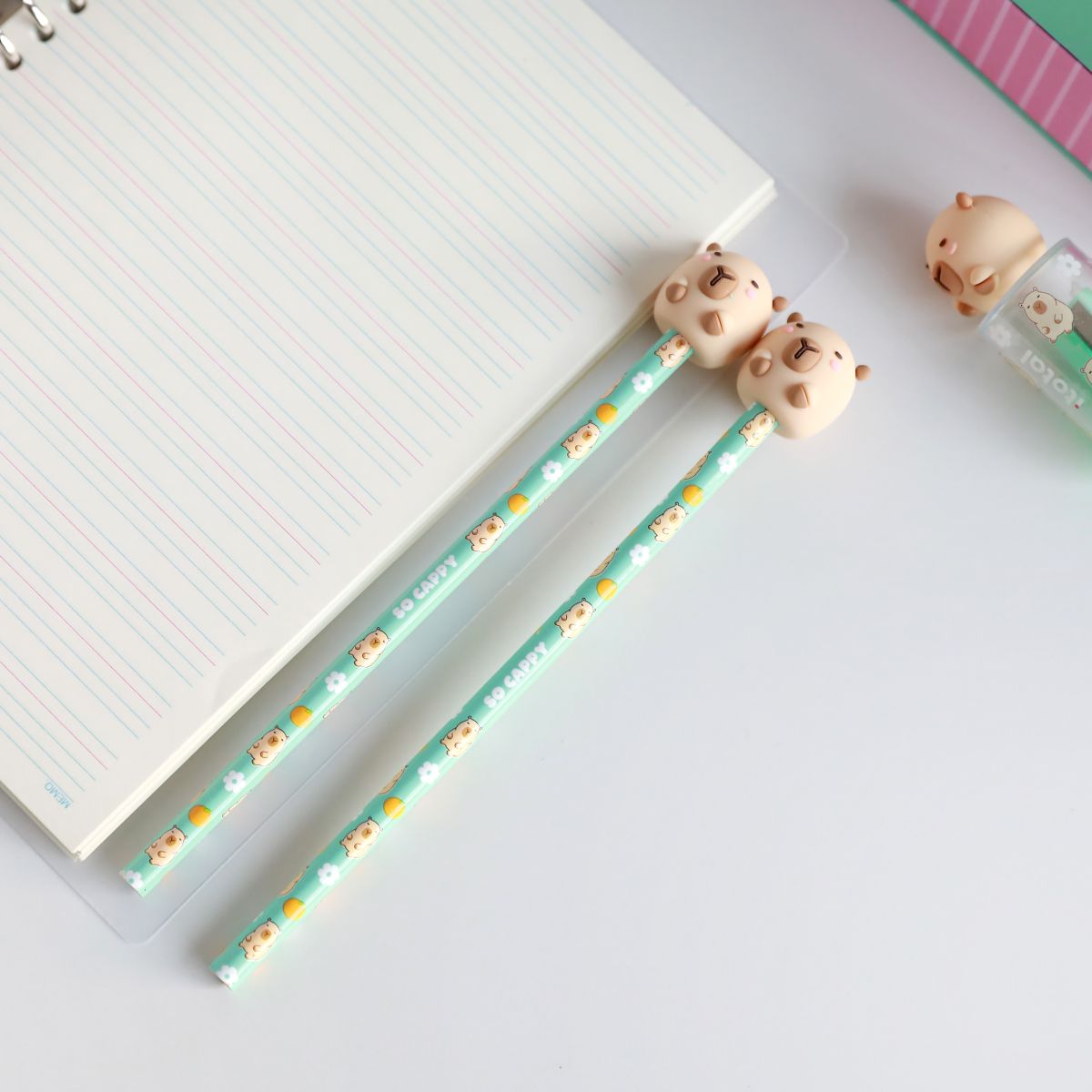 Crayons à papier 3D Capybara 
