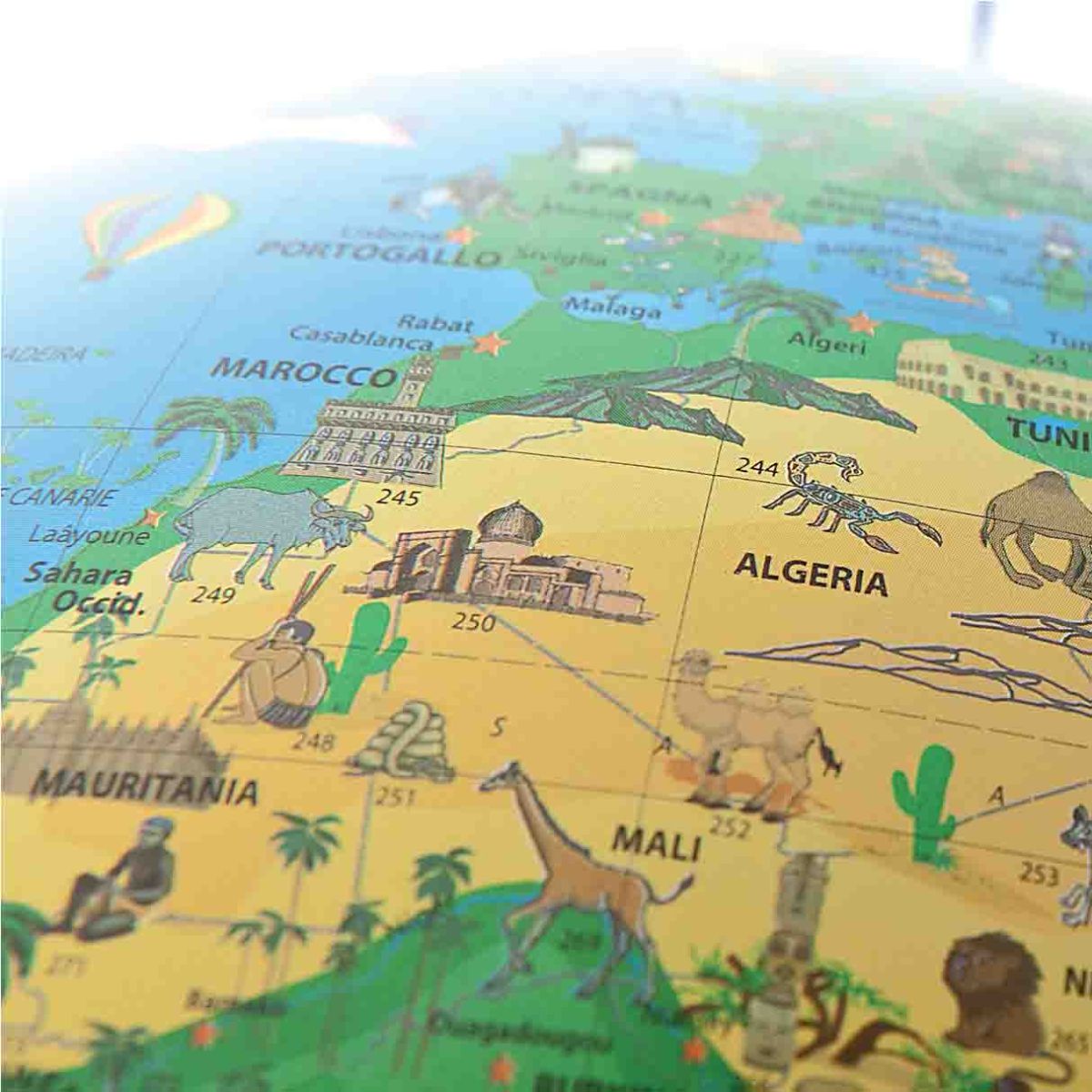 Family Solid Français